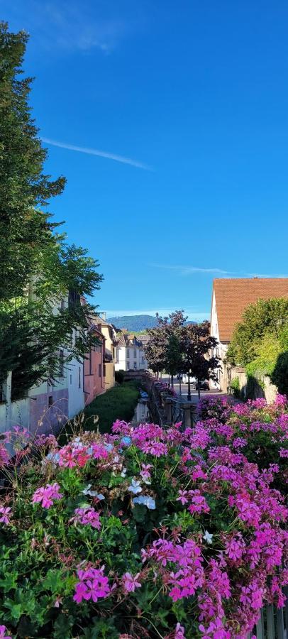 Appartamento Le Cocon Du Rimbach Soultz-Haut-Rhin Esterno foto