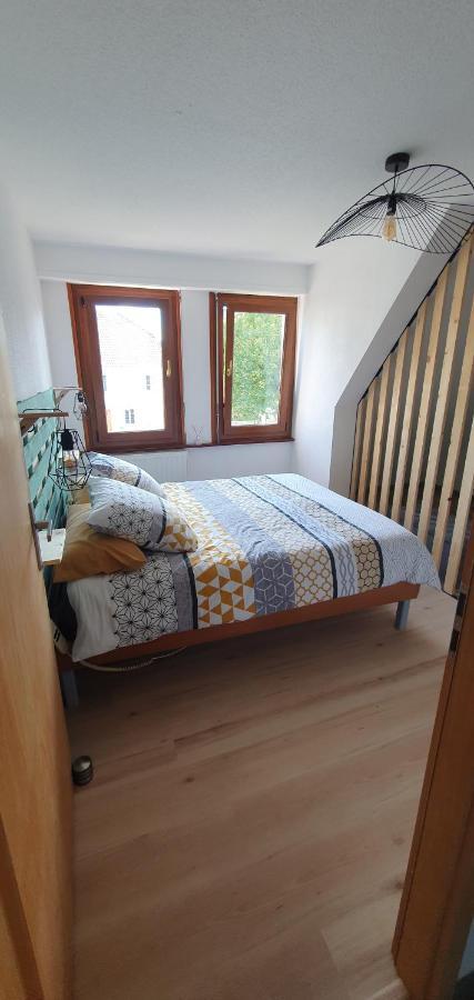 Appartamento Le Cocon Du Rimbach Soultz-Haut-Rhin Esterno foto