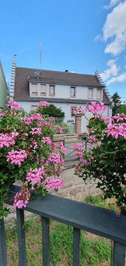 Appartamento Le Cocon Du Rimbach Soultz-Haut-Rhin Esterno foto